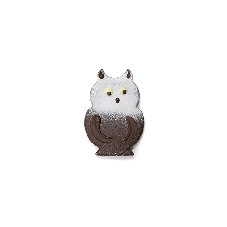 Hibou praliné pétillant chocolat noir chocolats de Pâques présentation