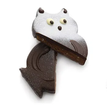 Hibou praliné pétillant chocolat noir chocolats enfants de Pâques