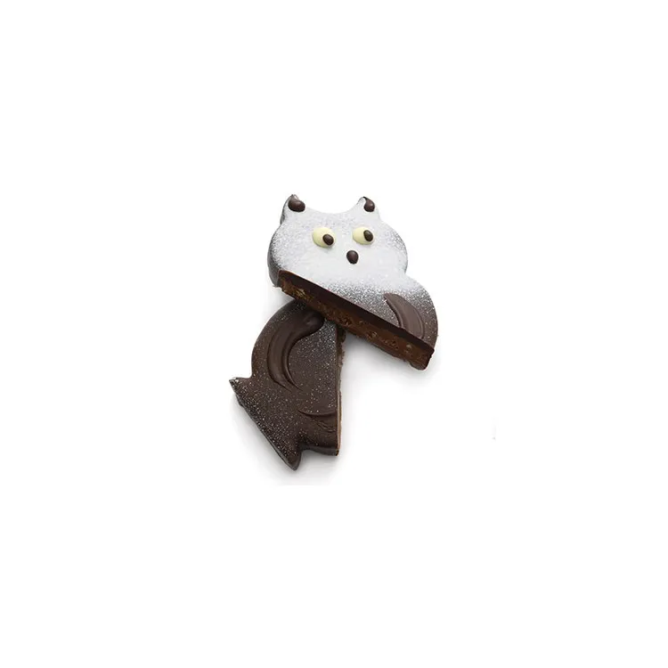 Hibou praliné pétillant chocolat noir chocolats enfants de Pâques