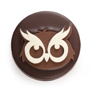 Hibou praliné coco chocolat noir Noël