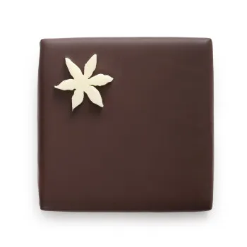 Bouchée ganache au thé vert jasmin et chocolat noir chocolat cadeau Fête des Mères