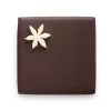 Bouchée ganache au thé vert jasmin et chocolat noir chocolat cadeau Fête des Mères