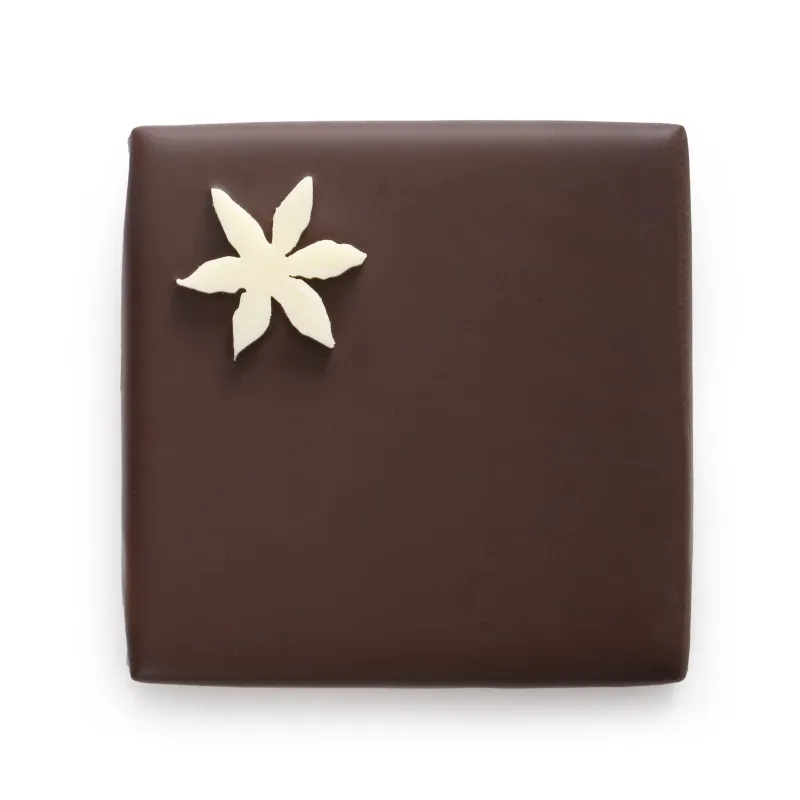 Bouchée ganache au thé vert jasmin et chocolat noir chocolat cadeau Fête des Mères