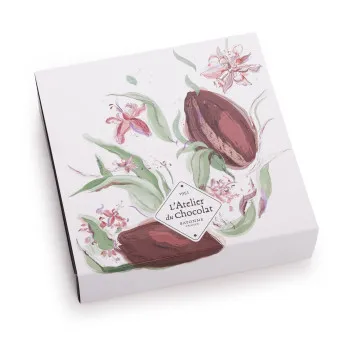Boîte de chocolats 100 % lait Ilbarritz