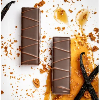BÛCHETTES DE NOËL CARAMEL VANILLE CHOCOLAT AU LAIT LIVRAISON CHOCOLATS DE NOEL ATELIER DU CHOCOLAT MEILLEUR CHOCOLAT NOEL