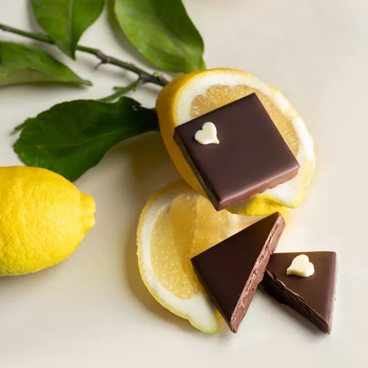 Bouchée ganache limoncello chocolat noir