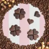 Bonbons coeurs praliné café noisettesnoir lait chocolats saint valentin
