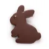 Lapin de Pâques en chocolat au lait praliné feuilleté chocolat enfants joyeuses pâques livraison chocolats atelier du chocolat