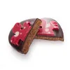 Crabe praliné coco chocolat noir livraison rapide chocolats de pâques
