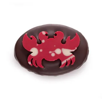 Crabe praliné coco chocolat noir livraison rapide chocolats de pâques