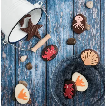 Crabe praliné coco chocolat noir livraison rapide chocolats de pâques