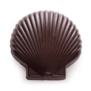 Coquille saint-jacques en chocolat et perles cacao lait caramel livraison rapide cadeau chocolat artisanal