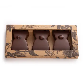 Boîte de 3 Oursons guimauve vanille chocolat au lait
