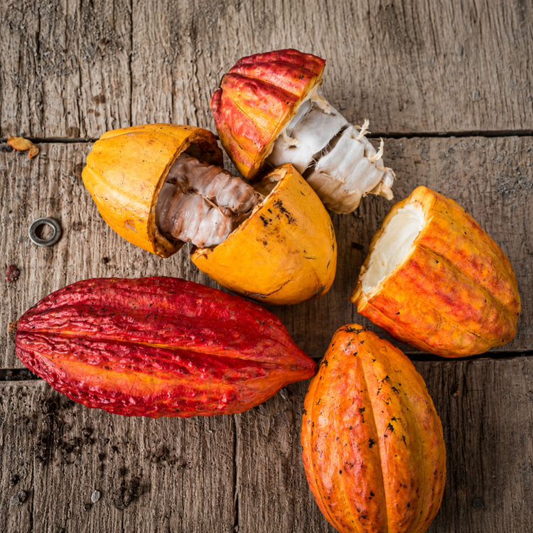 Le jus de cacao, une boisson rafraîchissante élaborée à partir de la pulpe du cacao.