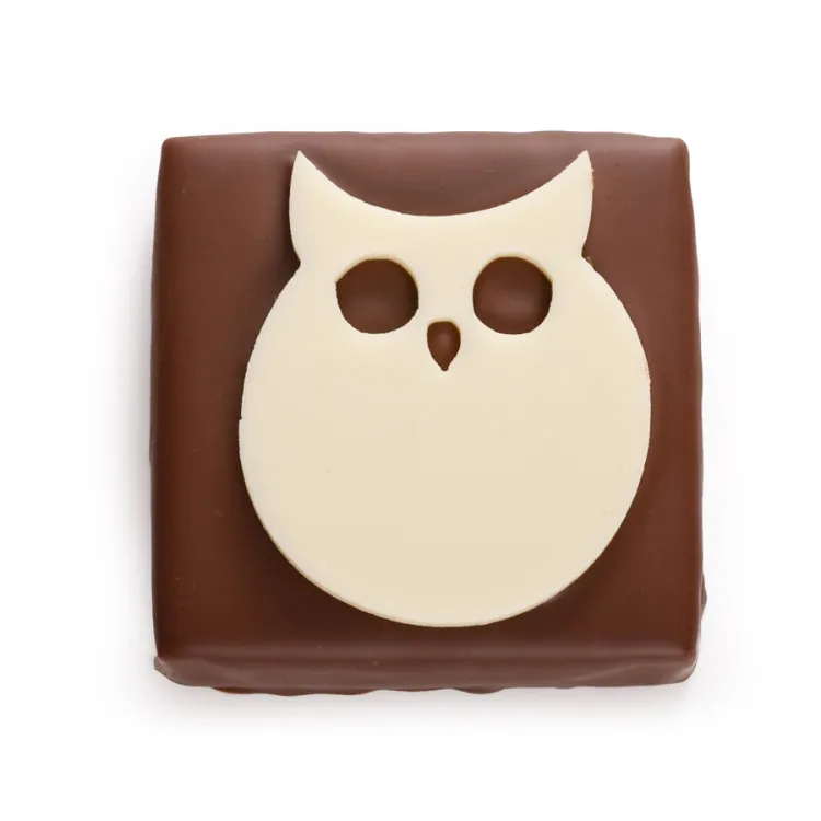 bouchée hibou praliné pétillant enrobage chocolat au lait chocolats halloween