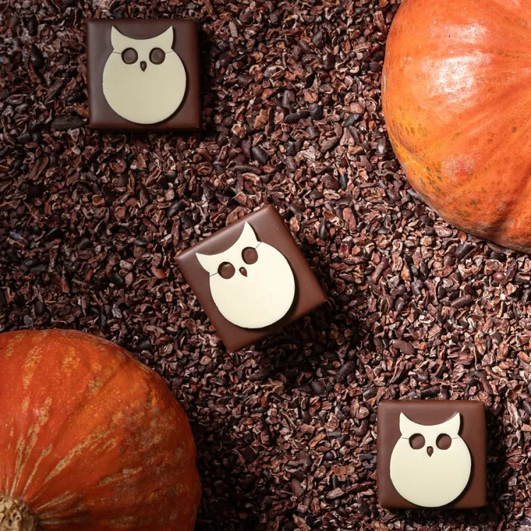 Bouchée hibou praliné pétillant enrobage chocolat au lait chocolats halloween édition limitée