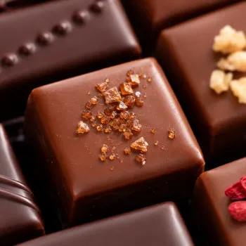 six recettes gourmandes réunies dans la boîte de chocolats noir et lait ilbarritz