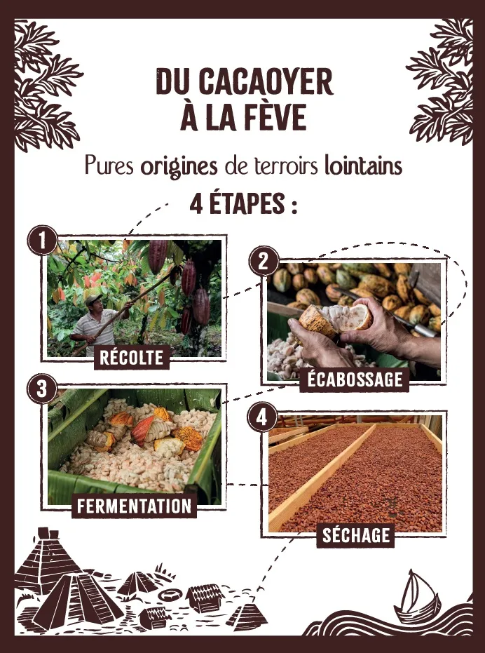 MUNDU BERRIA : L’EXPRESSION D’UN CHOCOLAT TRAÇABLE ET RESPONSABLE Des fèves d’exception venues du Mexique, de la Colombie et de Madagascar