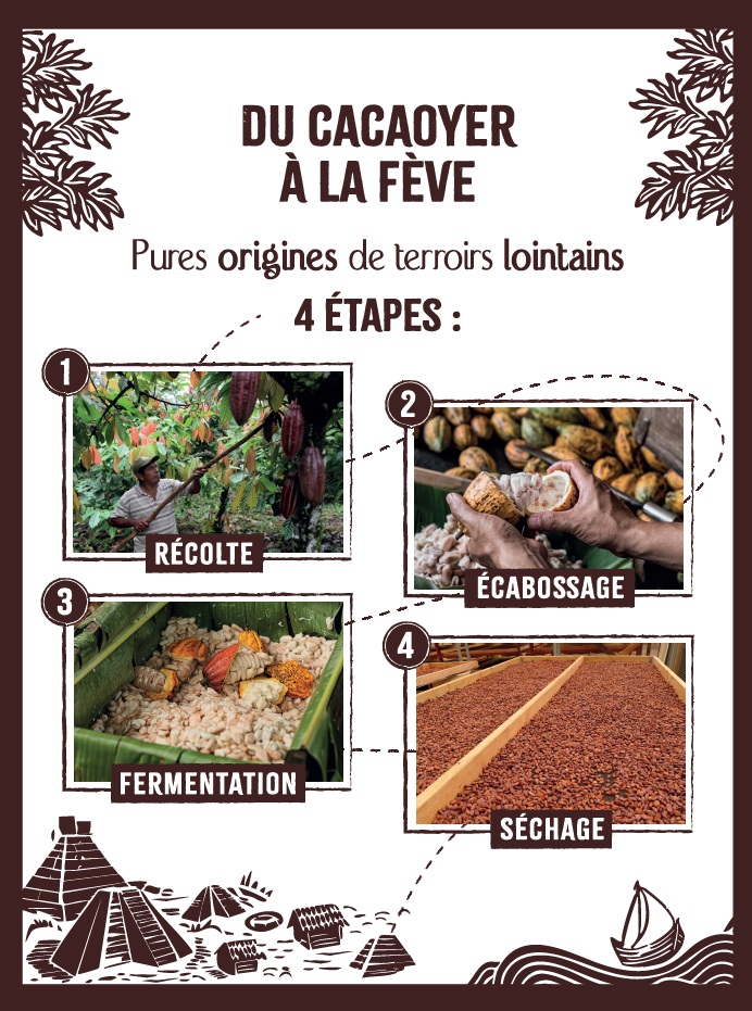 Du cacao grandes origines au chocolat  La fabrication Bean-to-Bar