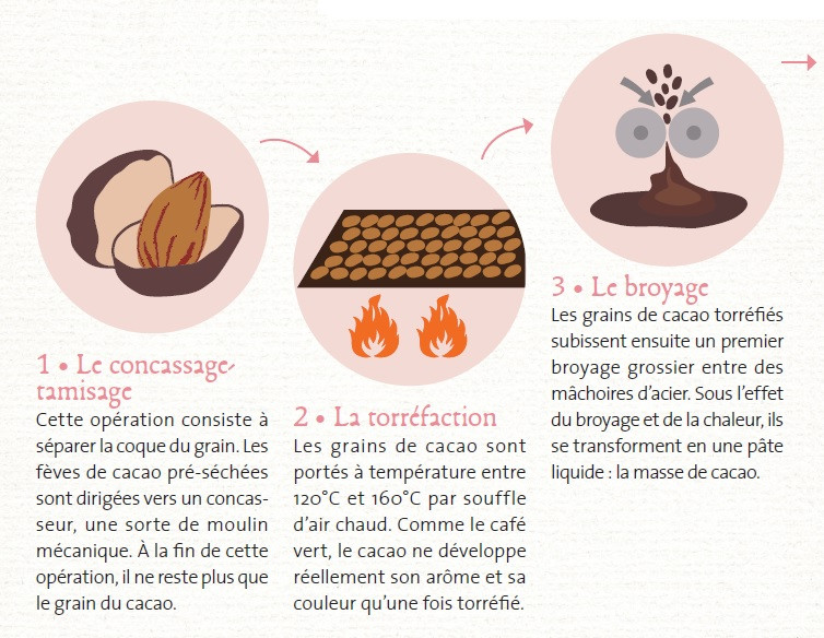 Étapes 2, 3 et 4 : Transformation des grains de cacao 