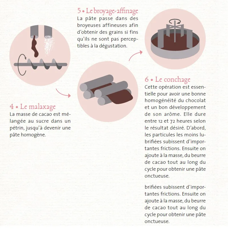 Étapes 5 et 6 : Chocolat et poudre de Cacao 