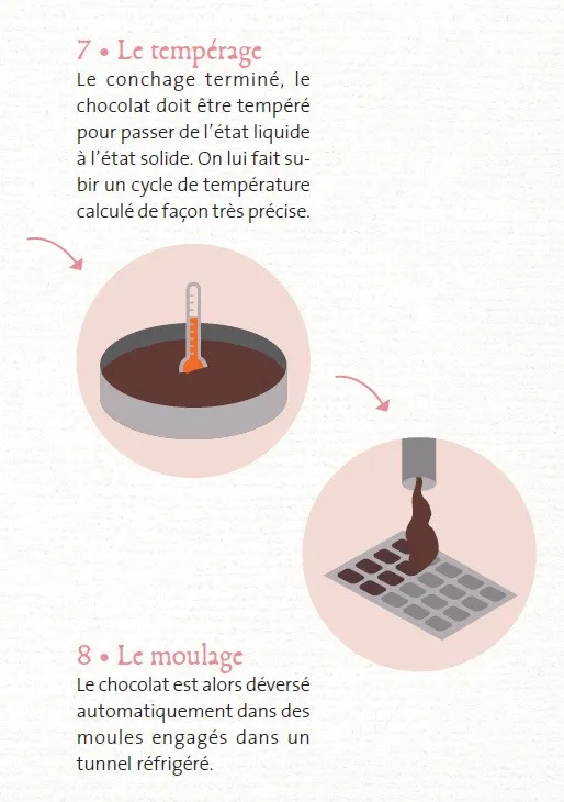 Étapes 6 et 7 : Conchage et Moulage du Chocolat 