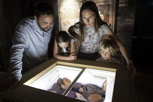 Visitez  le Musée du Chocolat à Bayonne